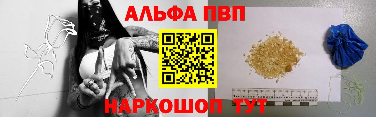 МЕФ Туапсе