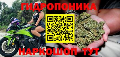 скорость Пугачёв