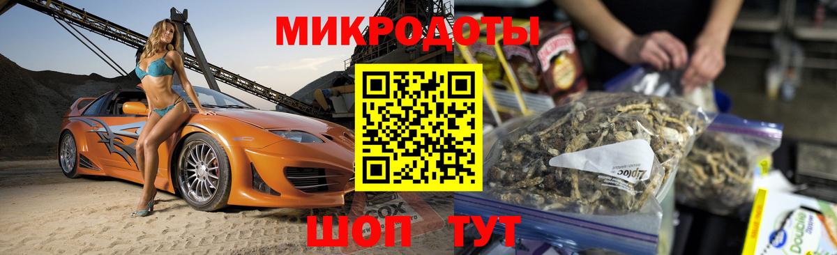Псилоцибиновые грибы Psilocybe Туапсе